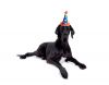 Filename=Noa2.jpg
Filesize=50KB
Dimensions=500x391
Date added=Feb 02, 2012 Noa2.jpg