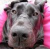 Filename=Noa.jpg
Filesize=21KB
Dimensions=269x268
Date added=Feb 02, 2012 Noa.jpg