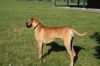 Filename=Macy.jpg
Filesize=64KB
Dimensions=480x320
Date added=Jan 04, 2012 Macy.jpg