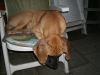 Filename=Macy2.jpg
Filesize=170KB
Dimensions=500x375
Date added=Jan 04, 2012 Macy2.jpg