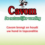 Cavom