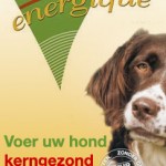 Energique