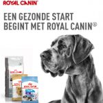 Royal Canin 2019